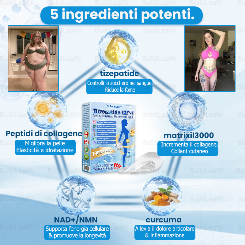 BuildLeaf® ha una sorpresa speciale solo per te! Hai già ricevuto un'offerta incredibile, ma adesso ne hai sbloccata una ancora migliore: Avrai un fantastico 50% di sconto sul tuo prossimo acquisto – solo per i prossimi due minuti!