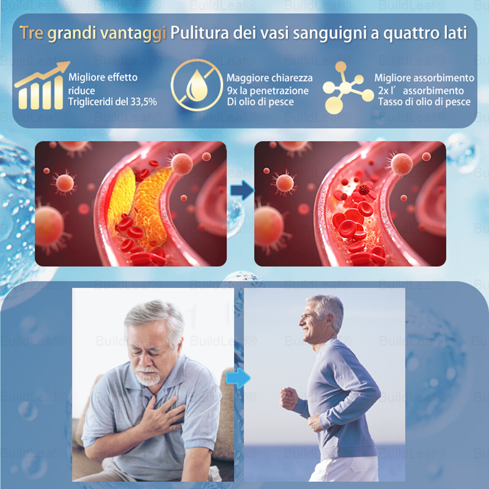 BuildLeaf® ha una sorpresa speciale solo per te! Hai già ricevuto un'offerta incredibile, ma adesso ne hai sbloccata una ancora migliore: Avrai un fantastico 50% di sconto sul tuo prossimo acquisto – solo per i prossimi due minuti!